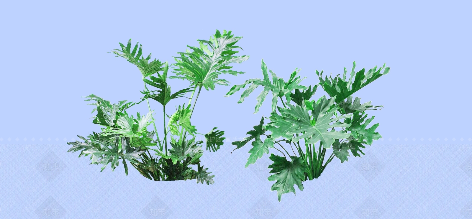 灌木SU模型下载【ID:1182142701】