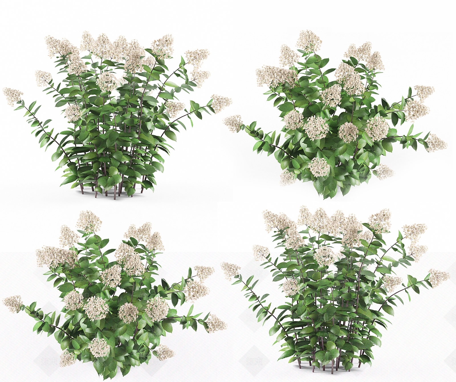 灌木3D模型下载【ID:1182147245】