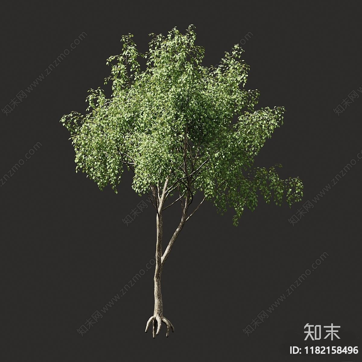 景观树3D模型下载【ID:1182158496】