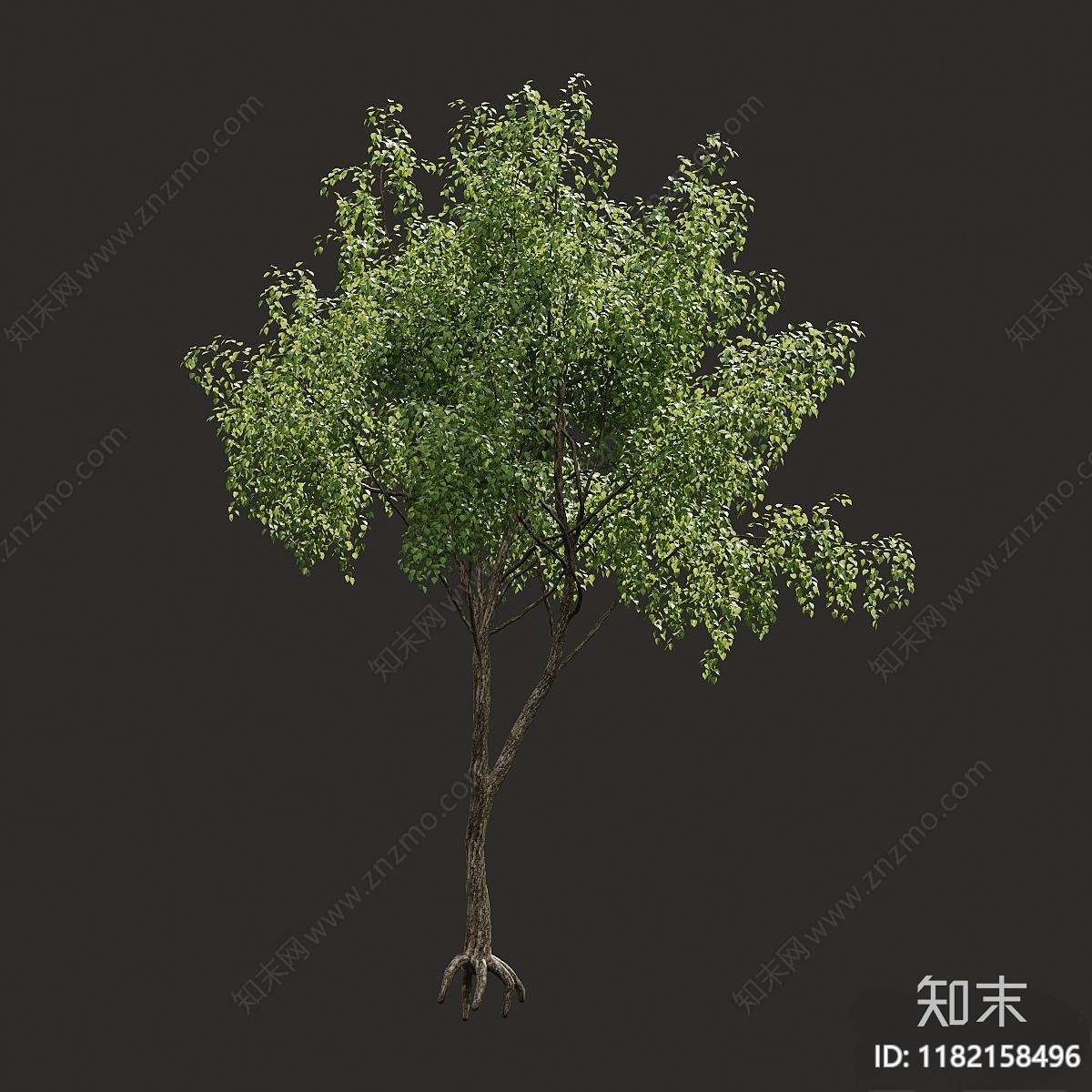 景观树3D模型下载【ID:1182158496】