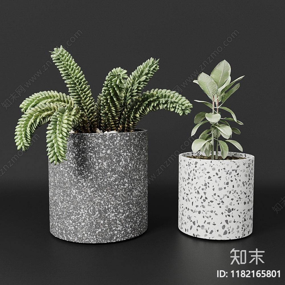 现代植物小盆栽3D模型下载【ID:1182165801】