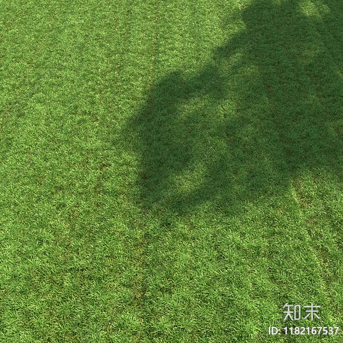 现代草地3D模型下载【ID:1182167537】