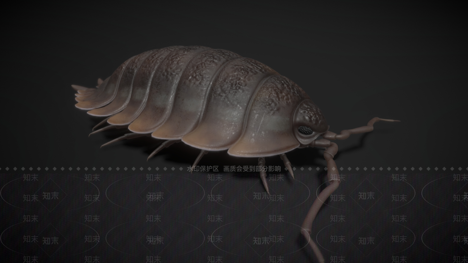 爬行类动物3D模型下载【ID:1182171775】