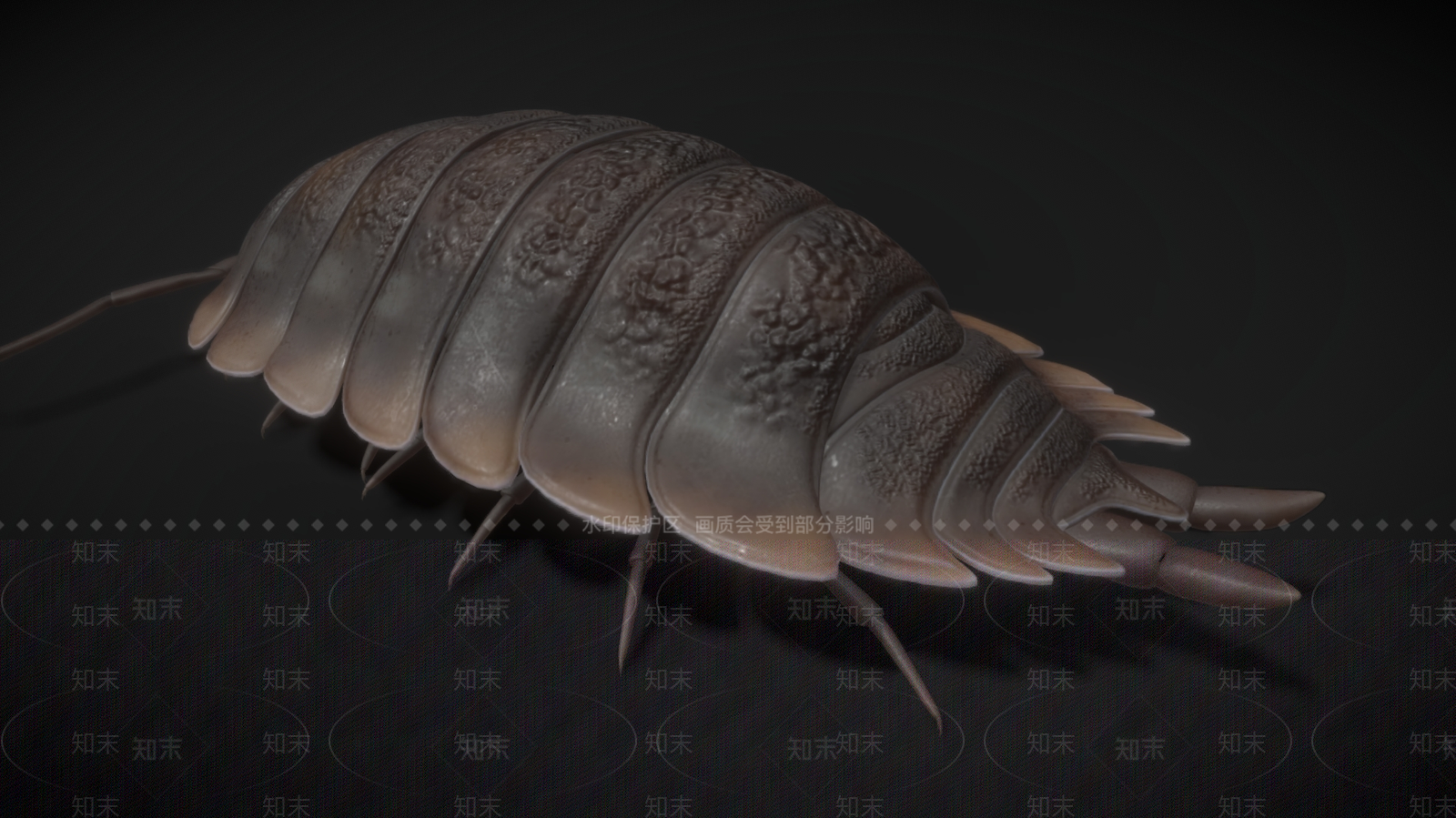 爬行类动物3D模型下载【ID:1182171775】