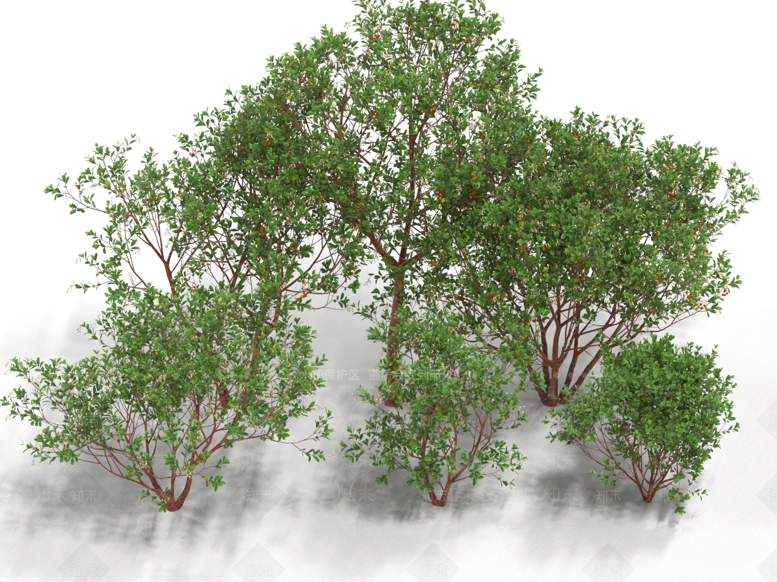 灌木3D模型下载【ID:1182215186】