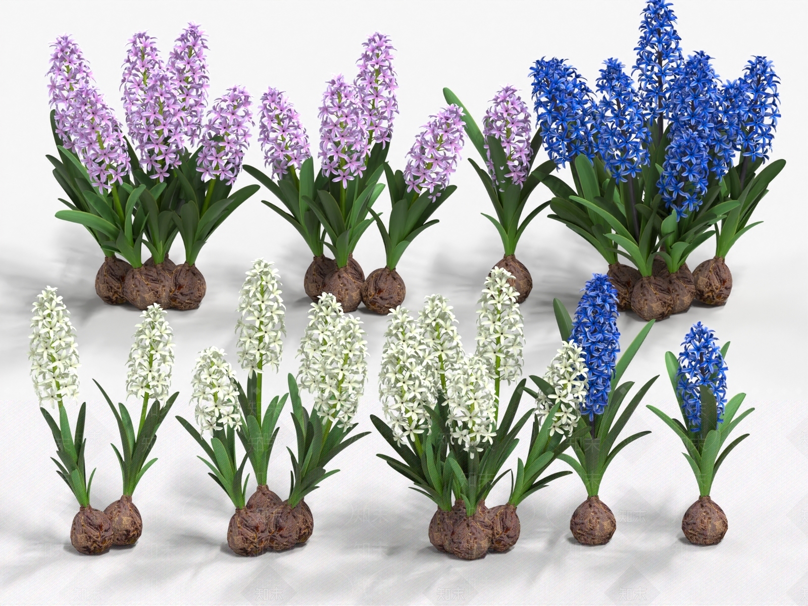 花草组合3D模型下载【ID:1182217528】