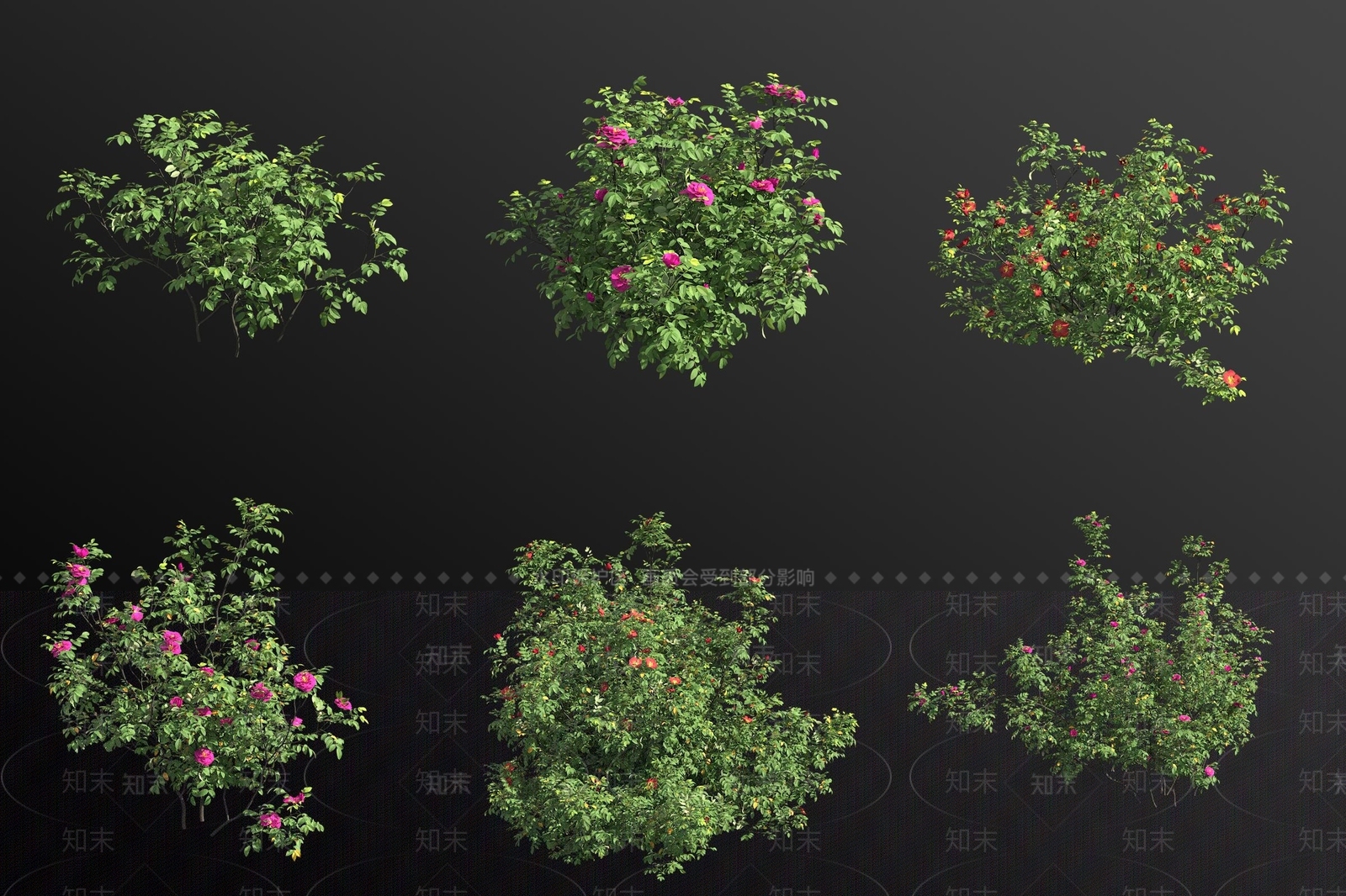 灌木3D模型下载【ID:1182289121】