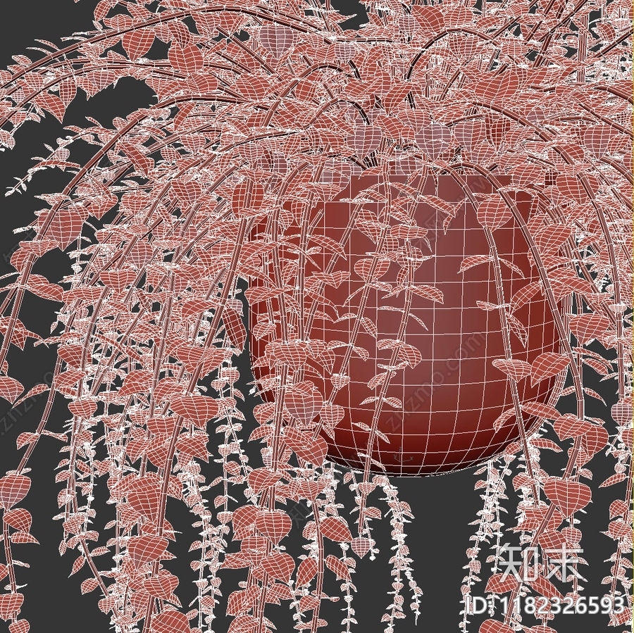 现代花盆中的安培植物3D模型下载【ID:1182326593】