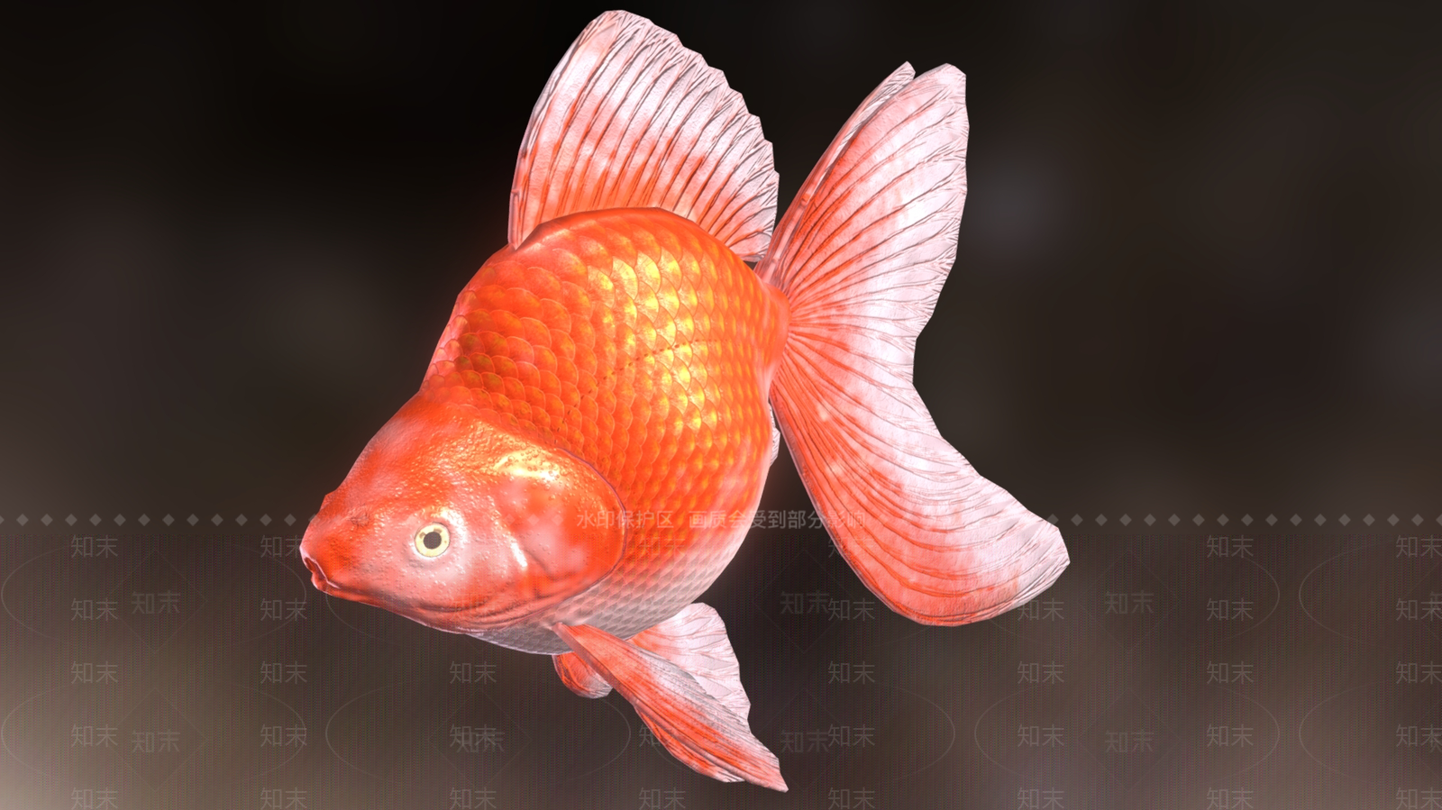 水生类动物3D模型下载【ID:1182389681】