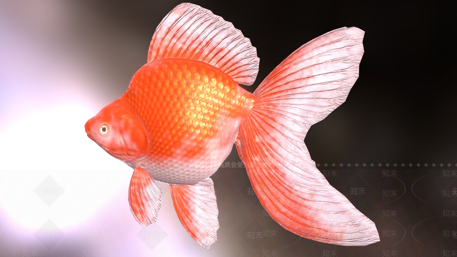 水生类动物3D模型下载【ID:1182389681】