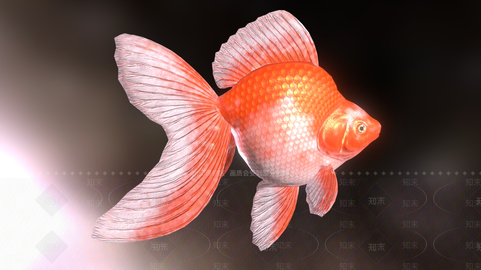 水生类动物3D模型下载【ID:1182389681】