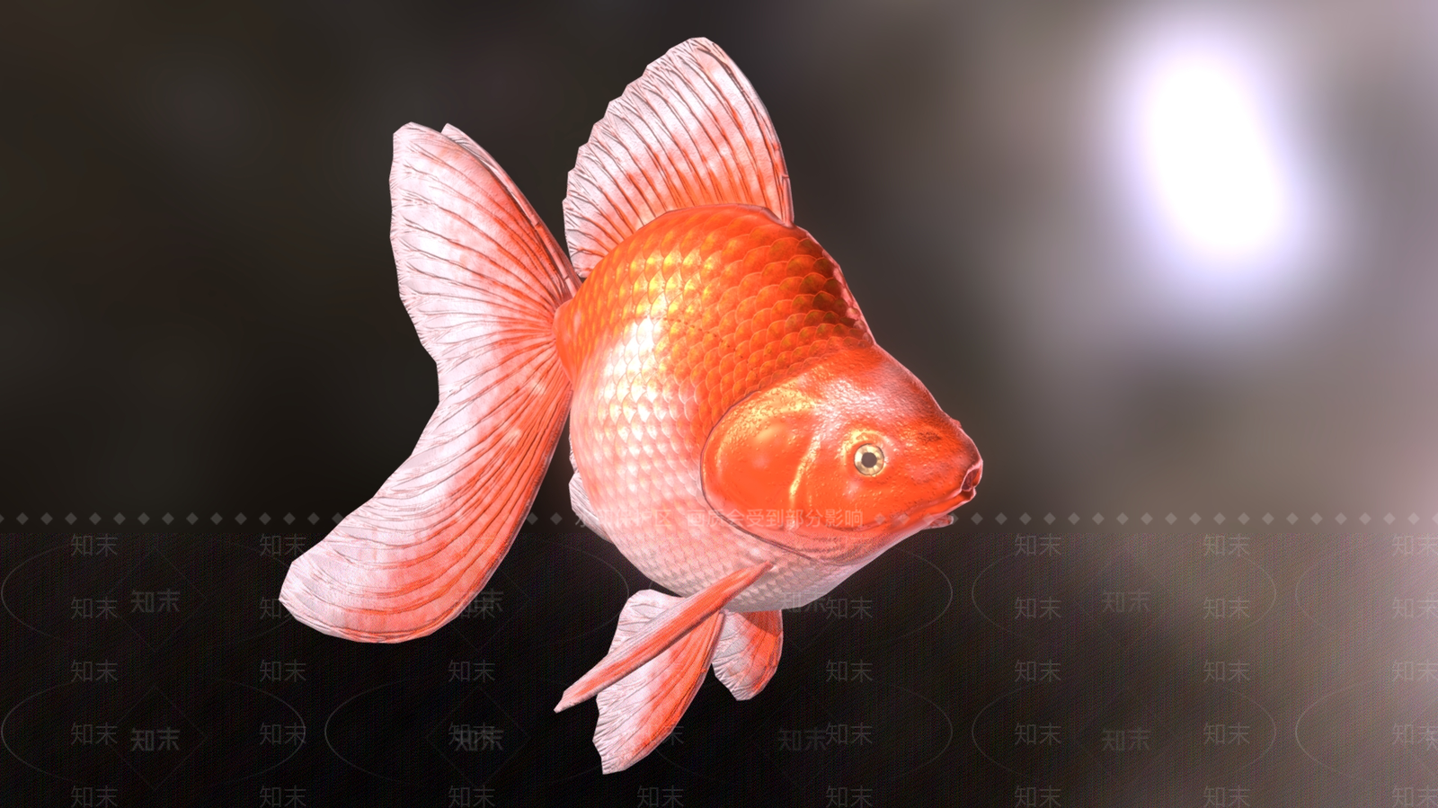 水生类动物3D模型下载【ID:1182389681】