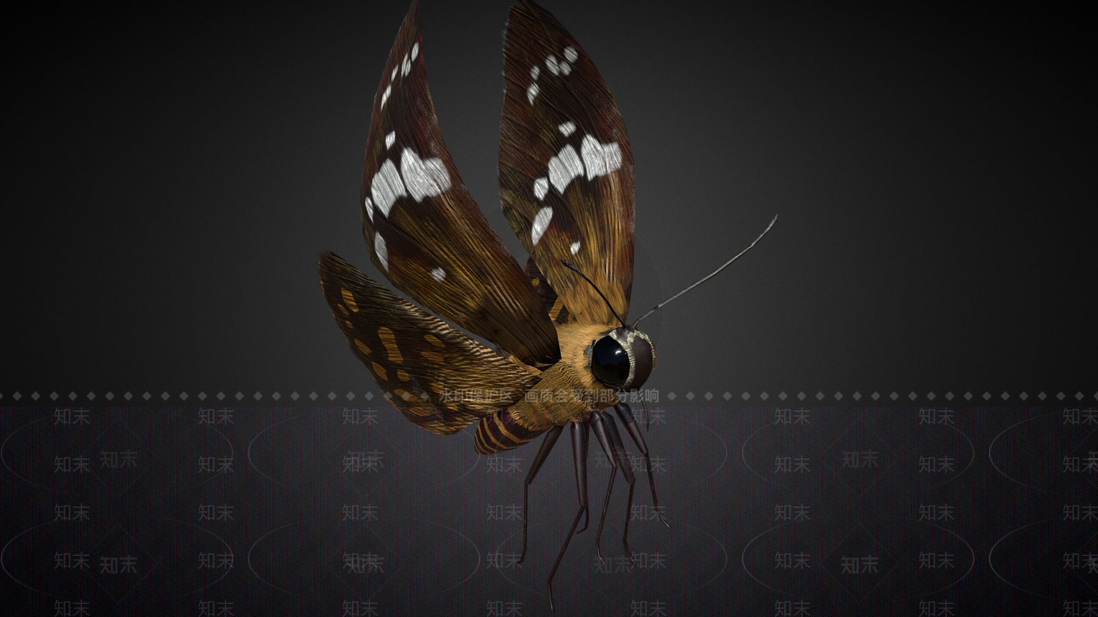 飞行类动物3D模型下载【ID:1182390211】