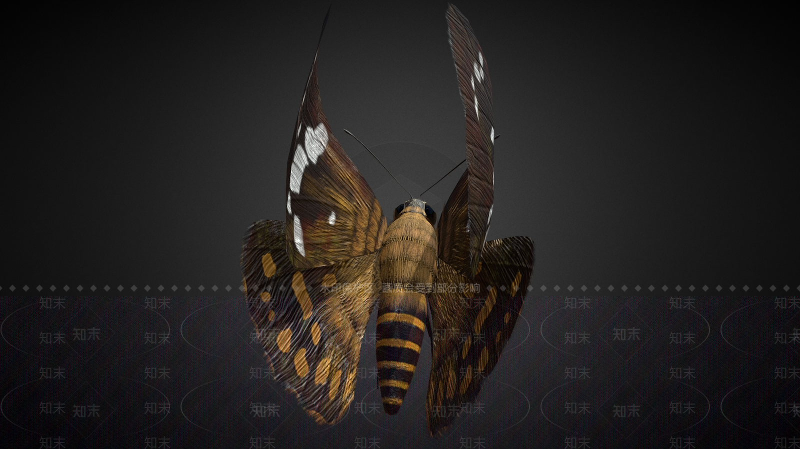 飞行类动物3D模型下载【ID:1182390211】