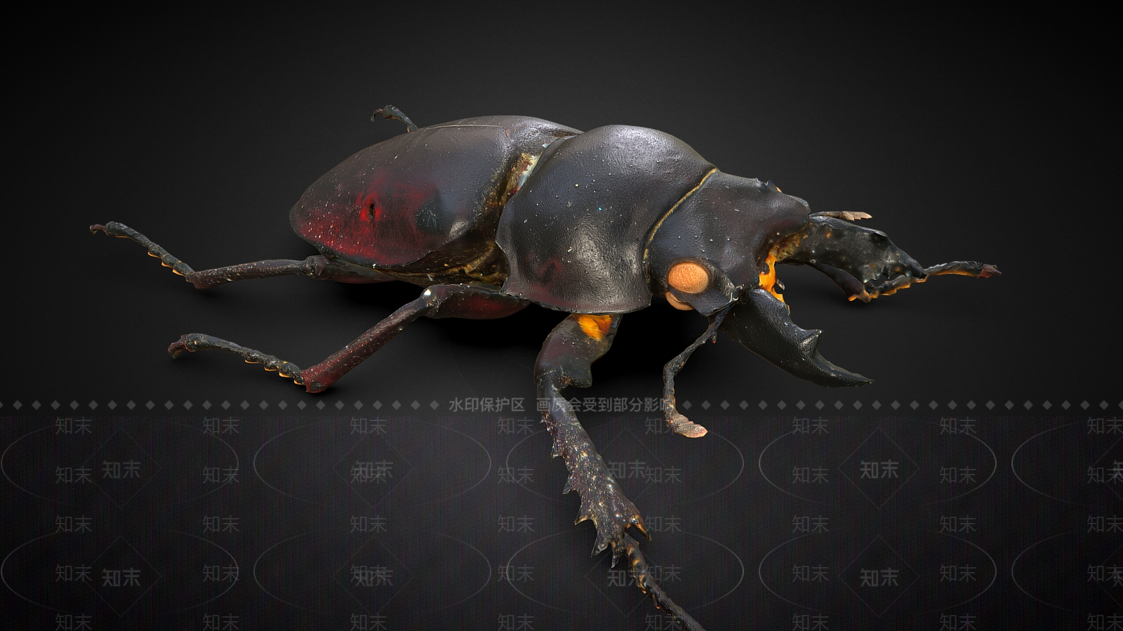 爬行类动物3D模型下载【ID:1182396617】
