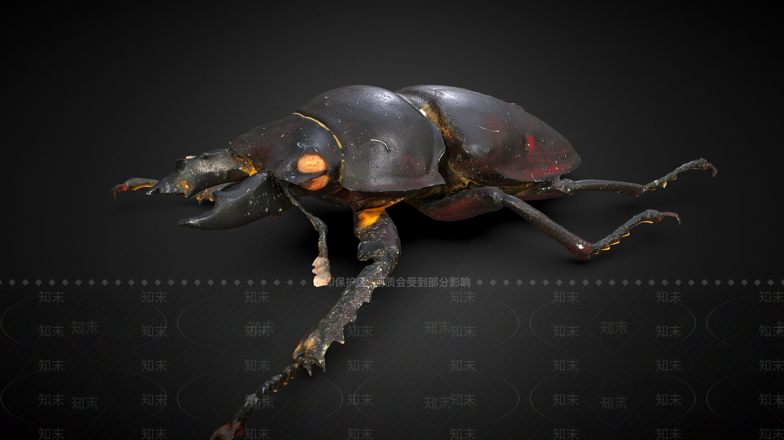 爬行类动物3D模型下载【ID:1182396617】
