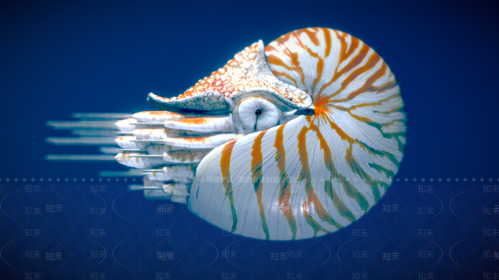 水生类动物3D模型下载【ID:1182403250】