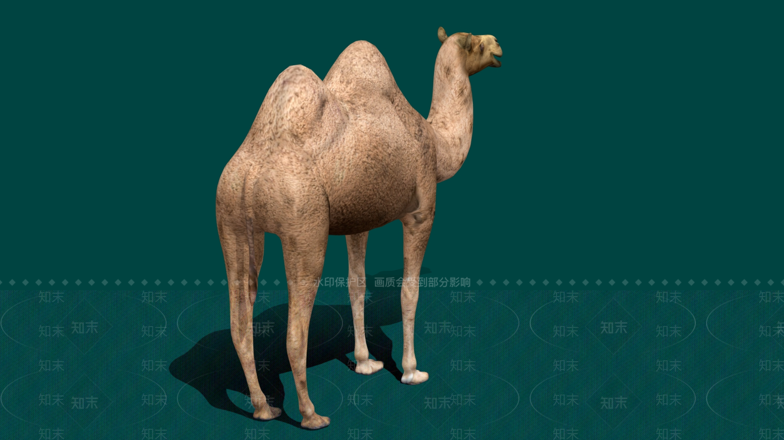其他动物3D模型下载【ID:1182405958】