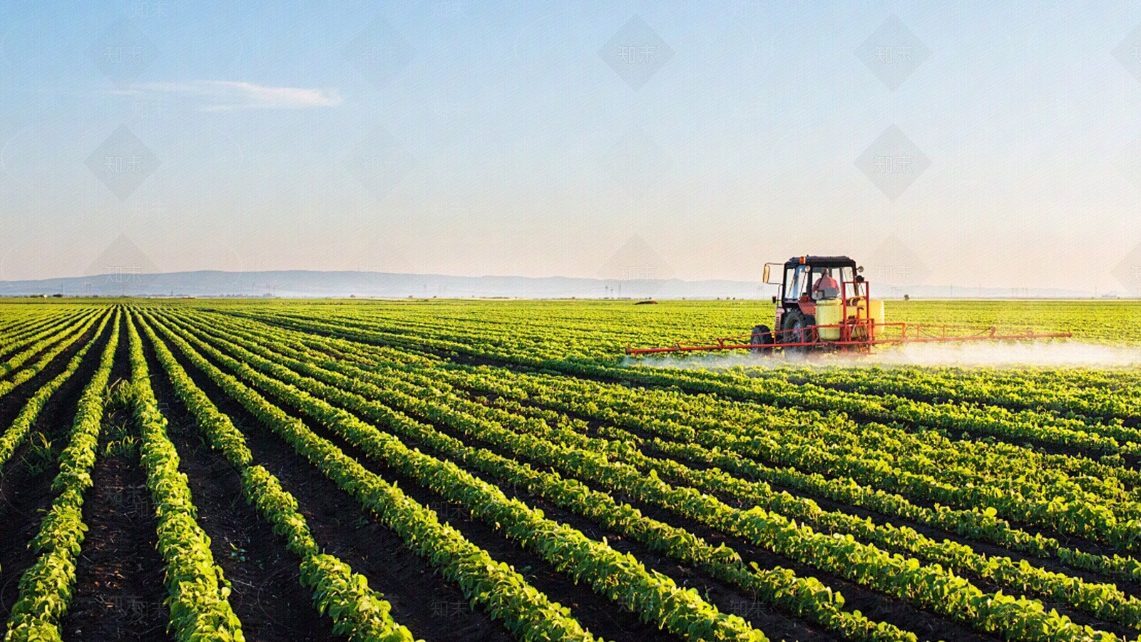 现代乡村贴图下载【ID:1182415723】