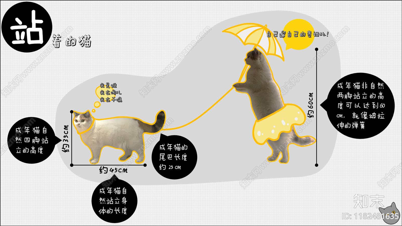 标准手册下载【ID:1182481635】