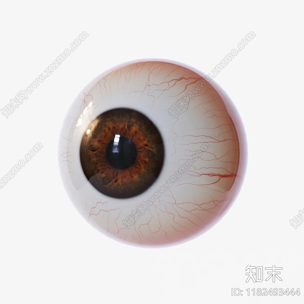 多人3D模型下载【ID:1182493444】