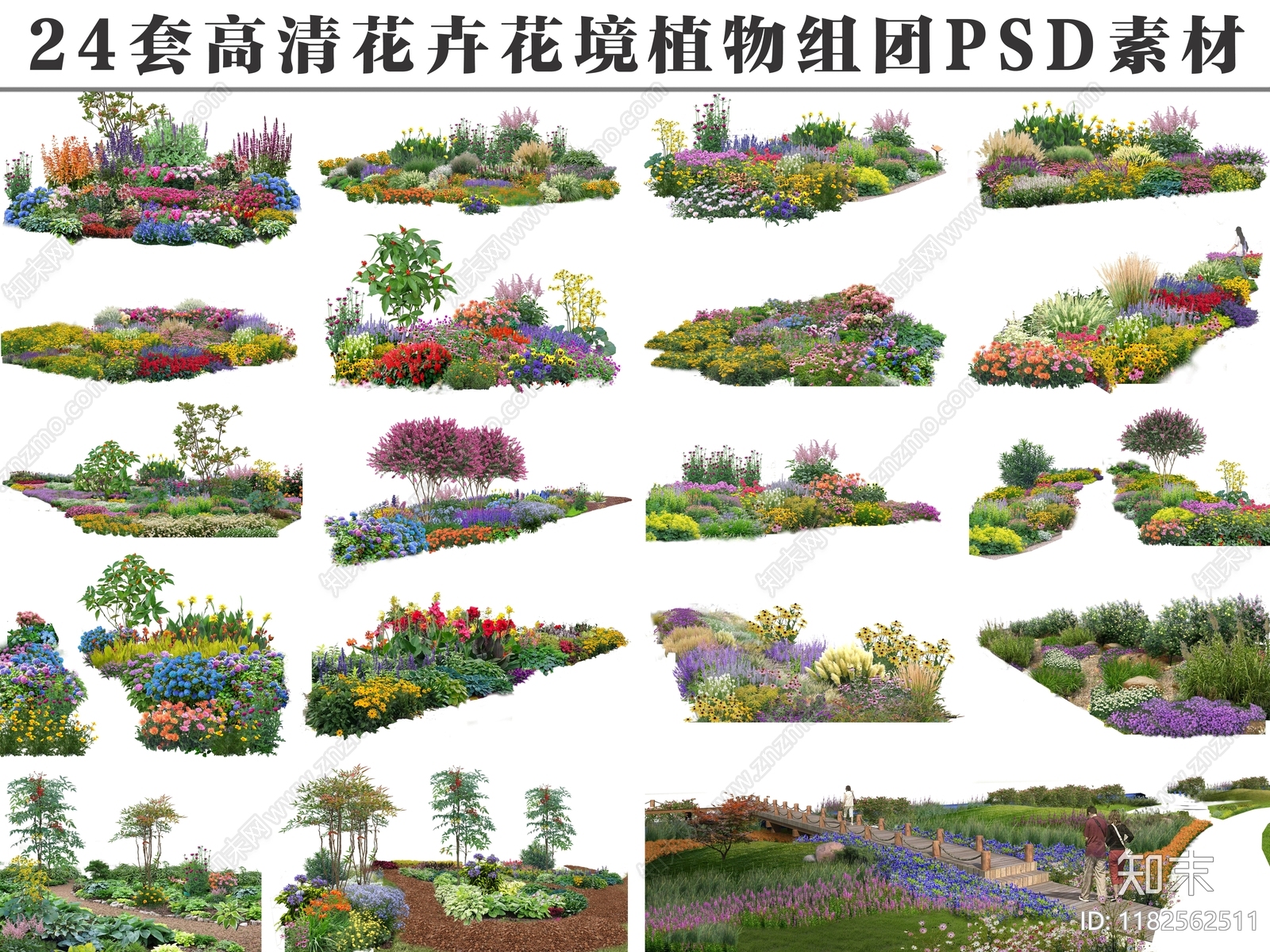 植物组合设计素材精品下载_知末网