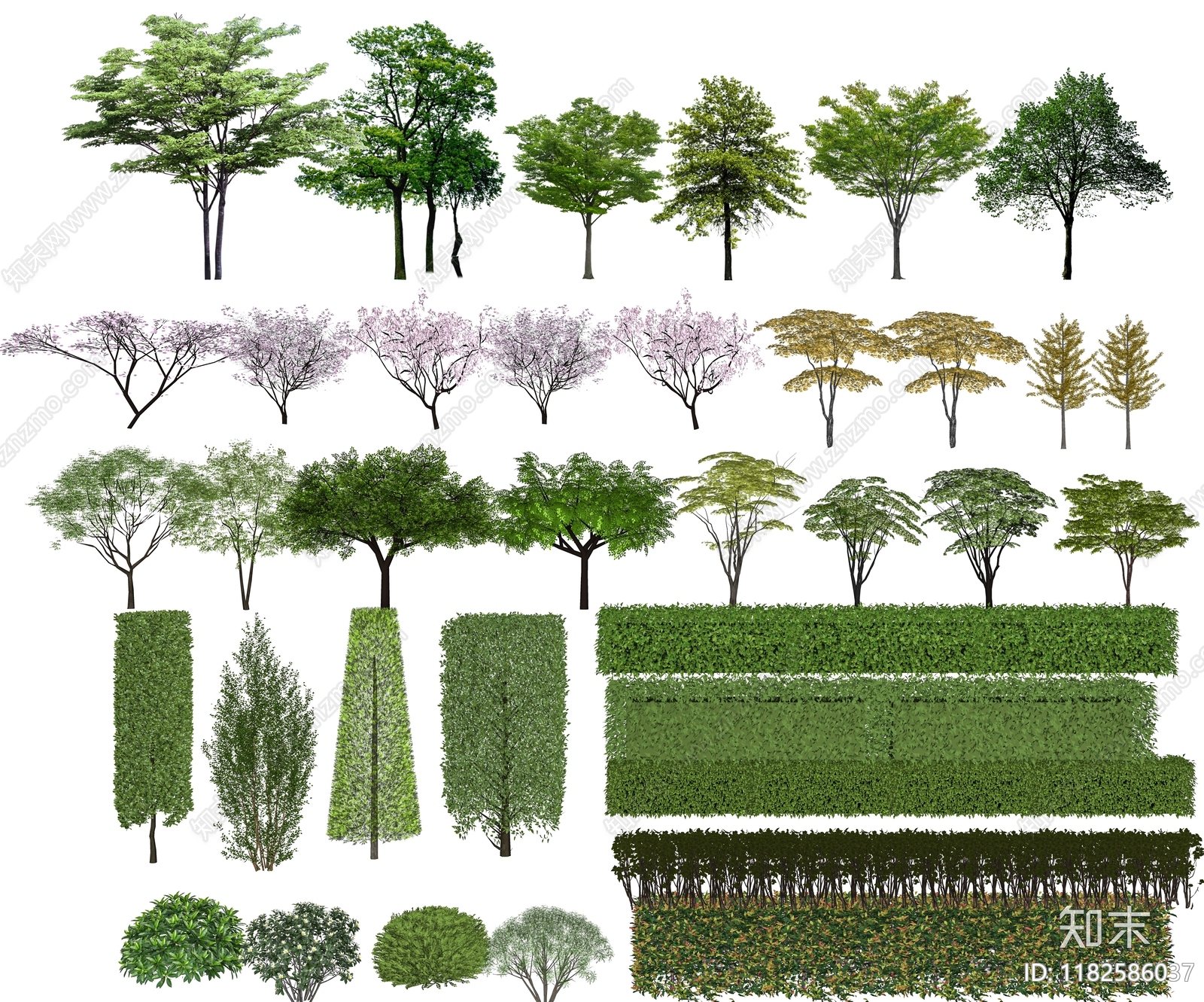 乔木SU模型下载【ID:1182586037】