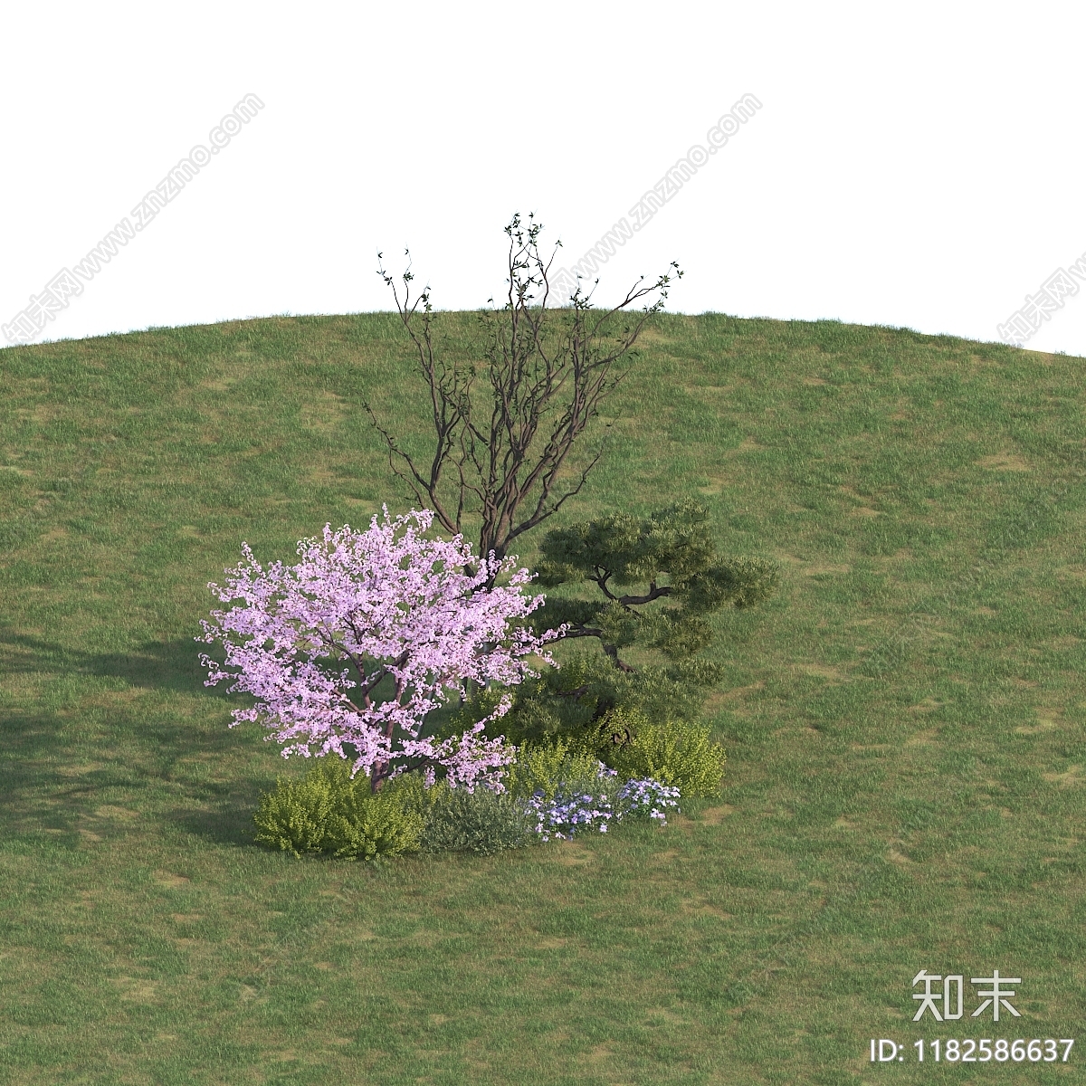 景观树3D模型下载【ID:1182586637】