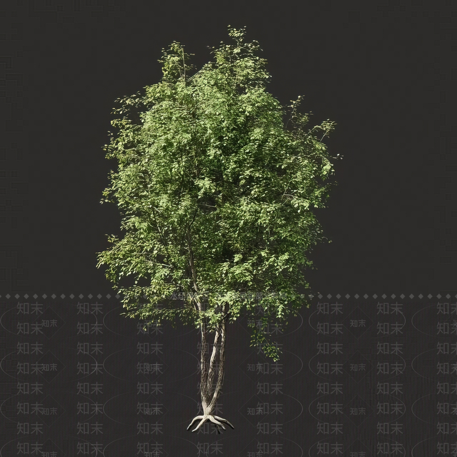景观树3D模型下载【ID:1182630642】
