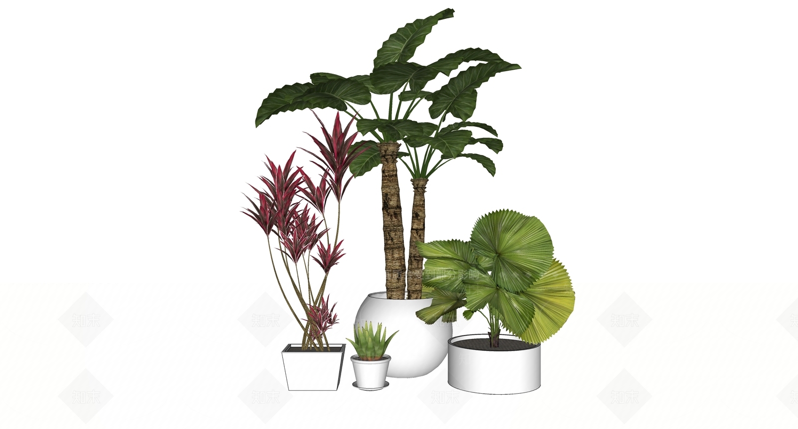 植物组合SU模型下载【ID:1182650640】