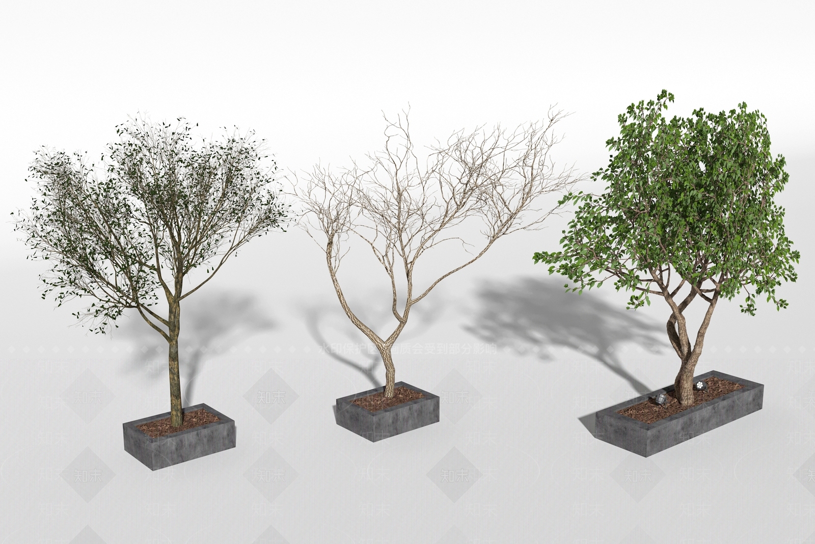 景观树3D模型下载【ID:1182674308】