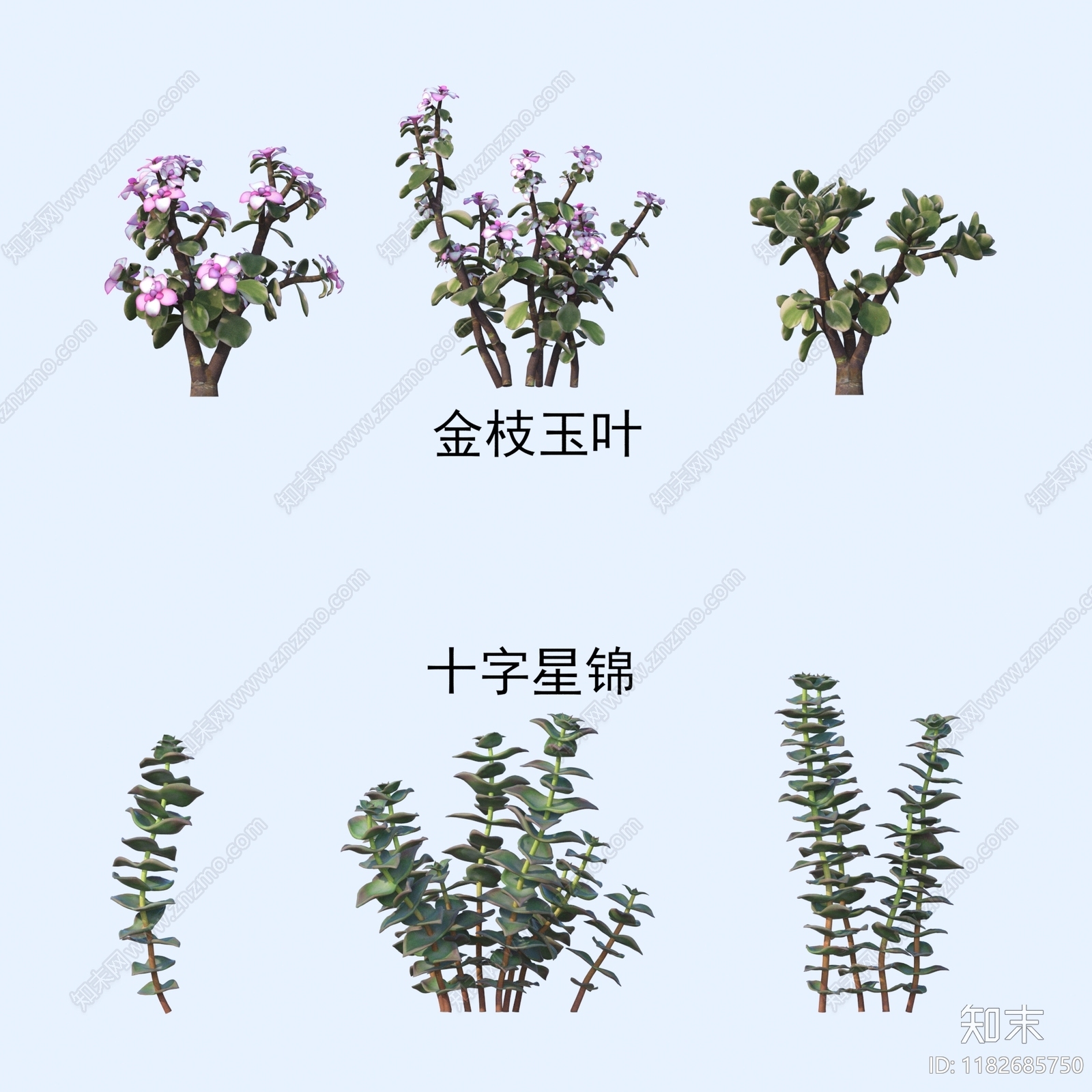 花草组合3D模型下载【ID:1182685750】