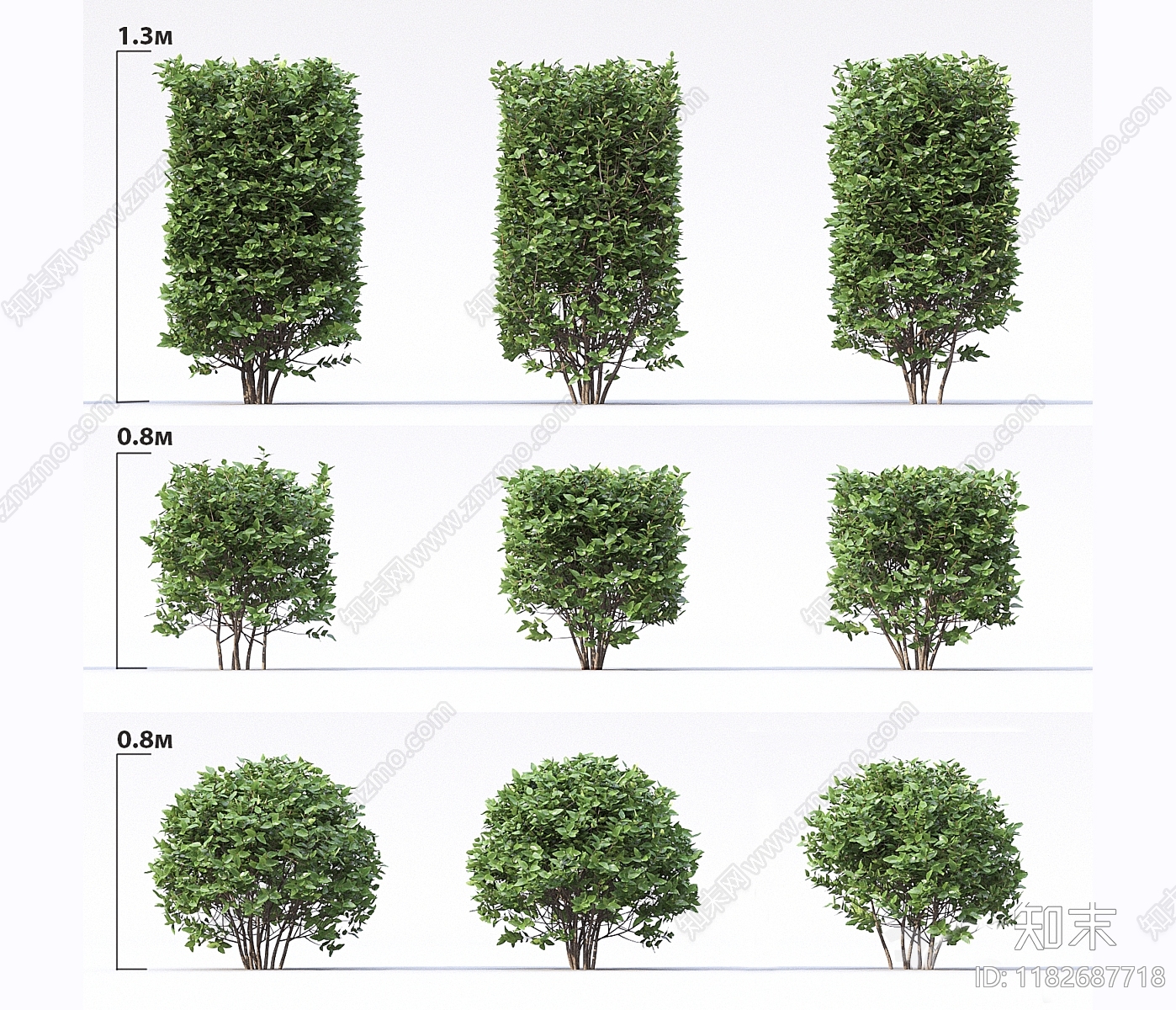 灌木3D模型下载【ID:1182687718】