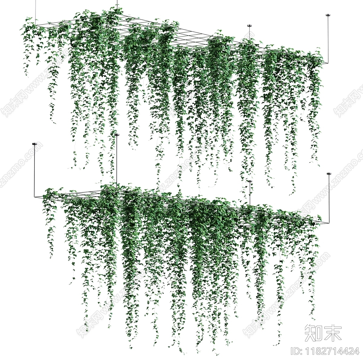 其他绿植3D模型下载【ID:1182714424】