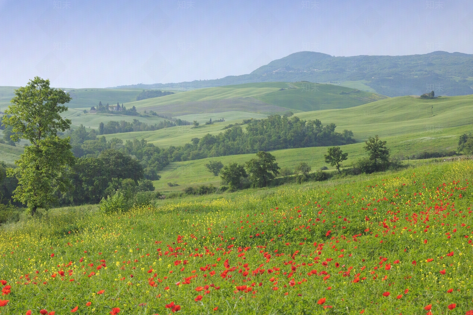 现代屏幕贴图下载【ID:1182730736】