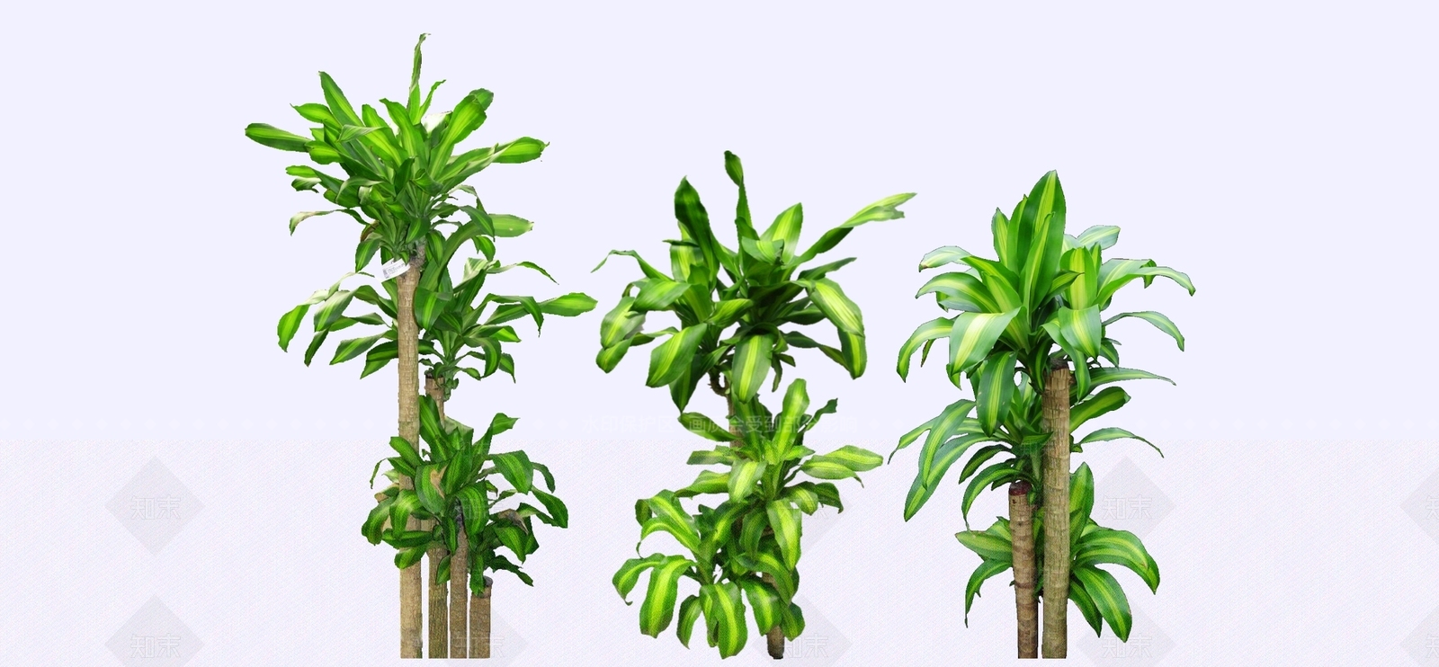 灌木SU模型下载【ID:1182731667】