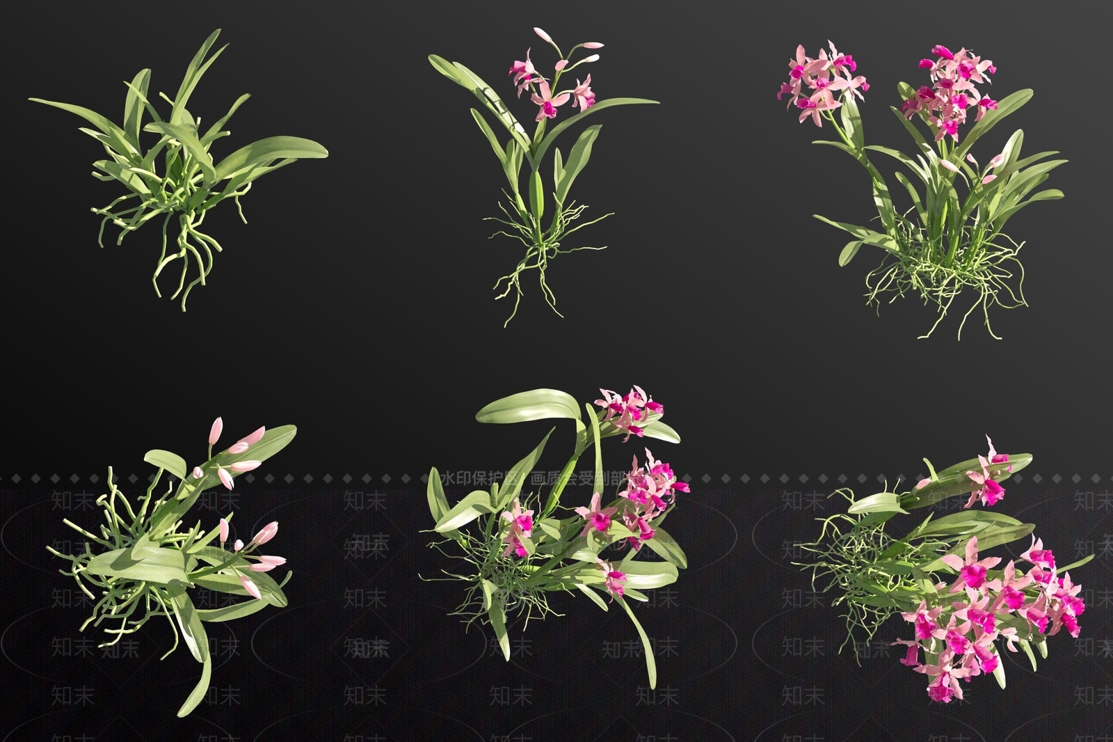 花草组合3D模型下载【ID:1182779504】