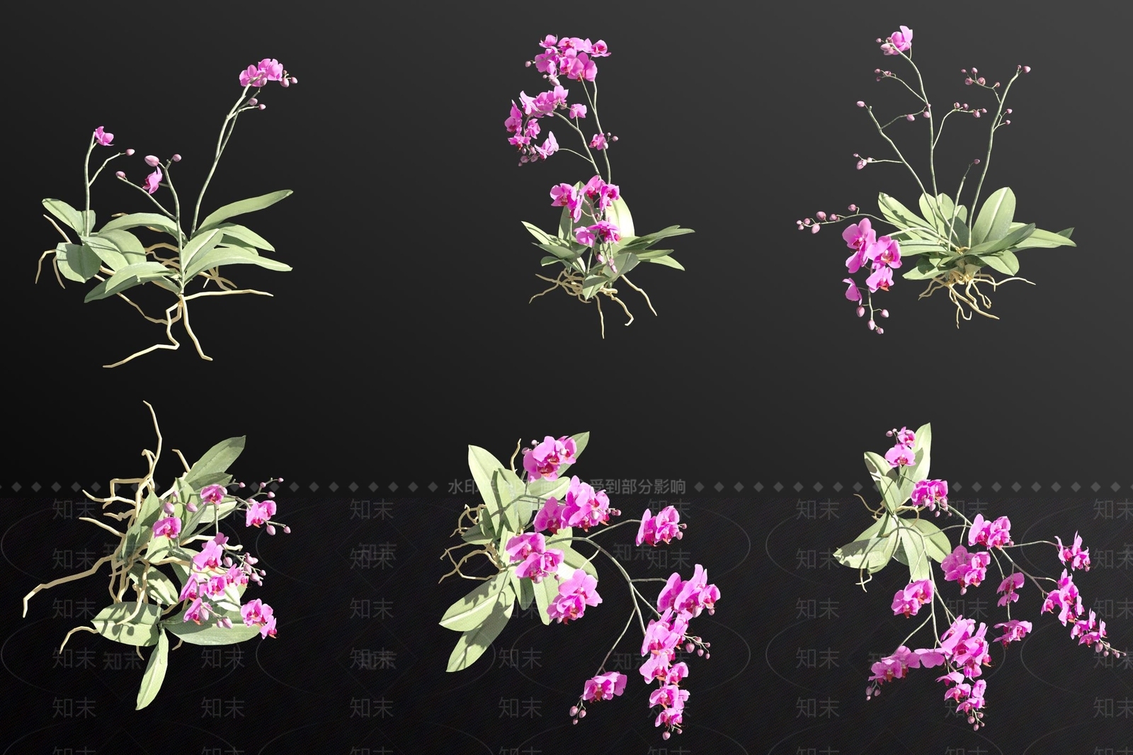 花草组合3D模型下载【ID:1182783057】
