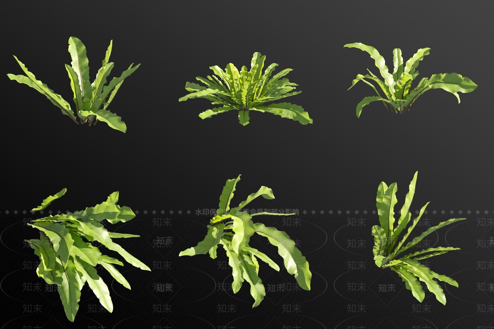 花草组合3D模型下载【ID:1182783714】