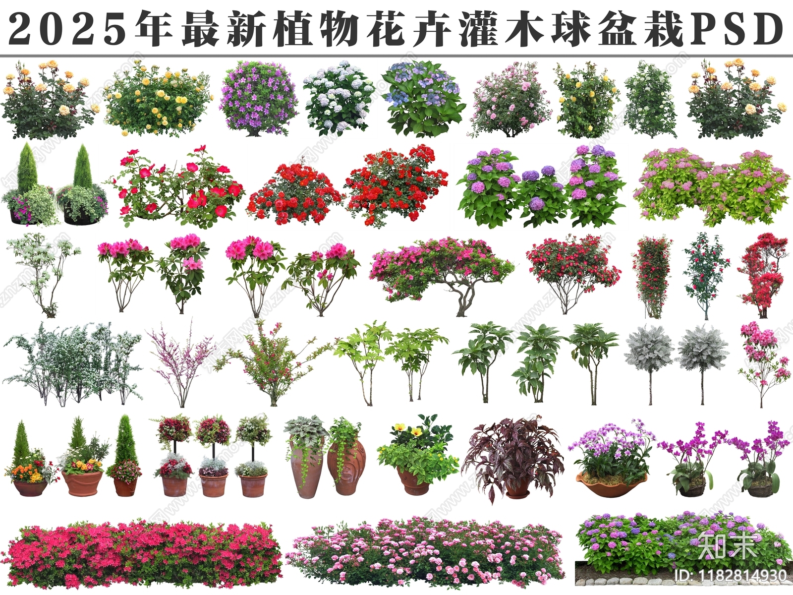 2025年最新植物花卉灌木球盆栽PSD免抠素材下载【ID:1182814930】