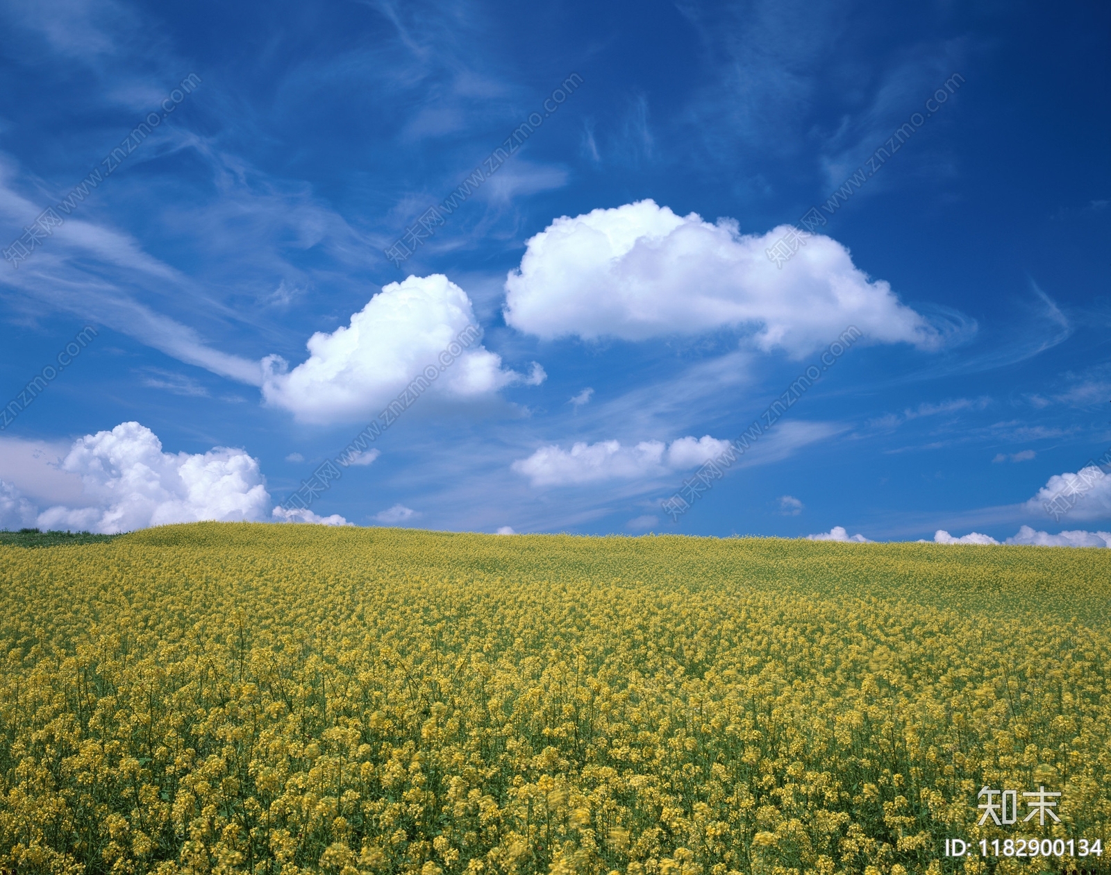 现代天空外景贴图下载【ID:1182900134】