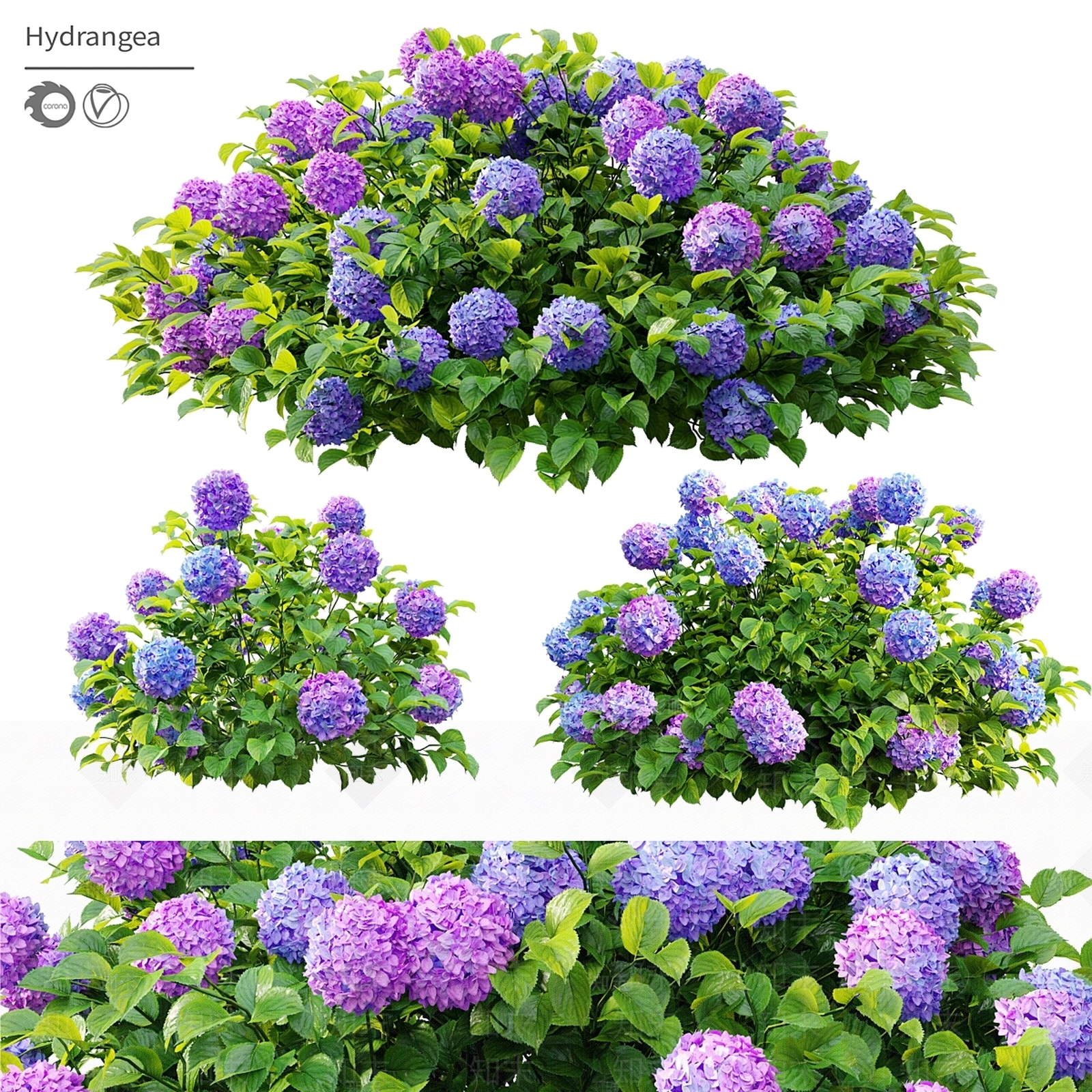 灌木3D模型下载【ID:1182943125】