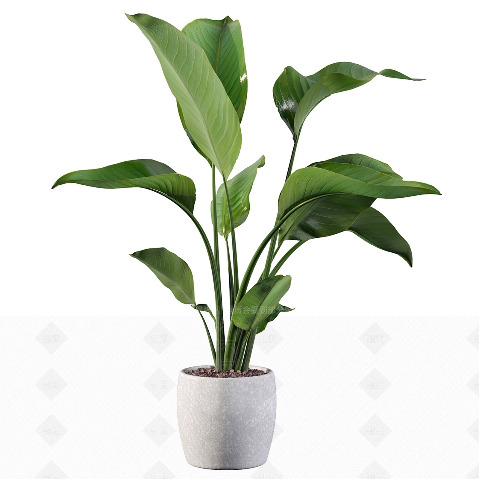 盆栽3D模型下载【ID:1182952935】