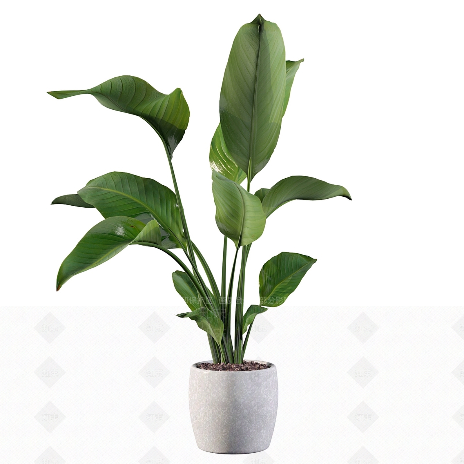 盆栽3D模型下载【ID:1182952935】