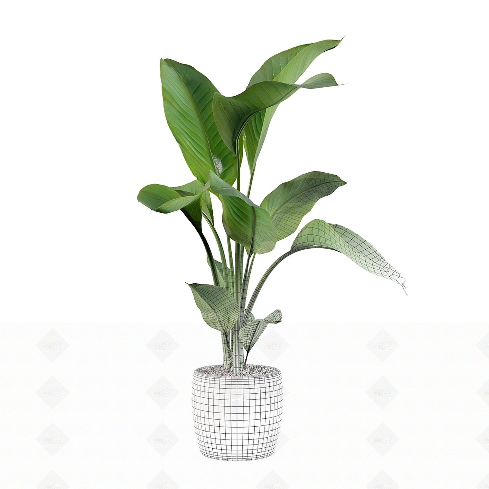 盆栽3D模型下载【ID:1182952935】