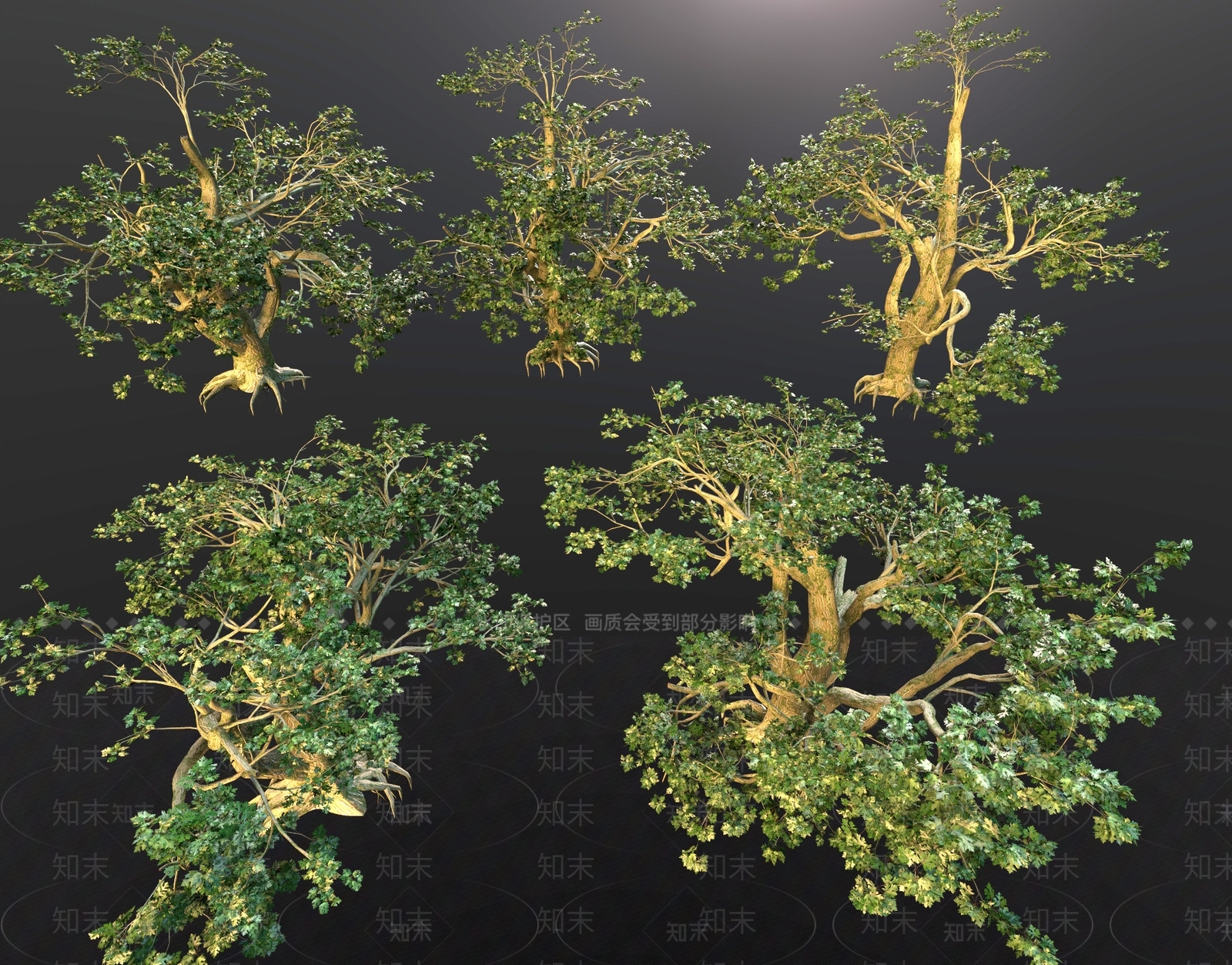 乔木3D模型下载【ID:1182985944】