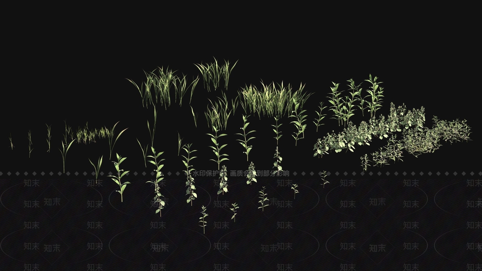 草3D模型下载【ID:1182986997】