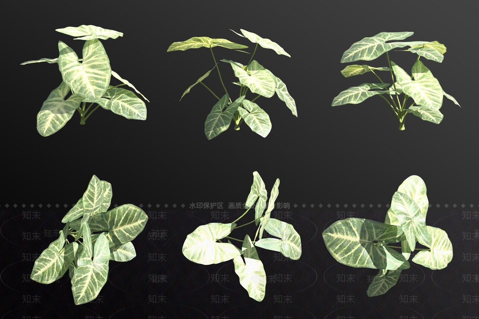 花草组合3D模型下载【ID:1183042449】