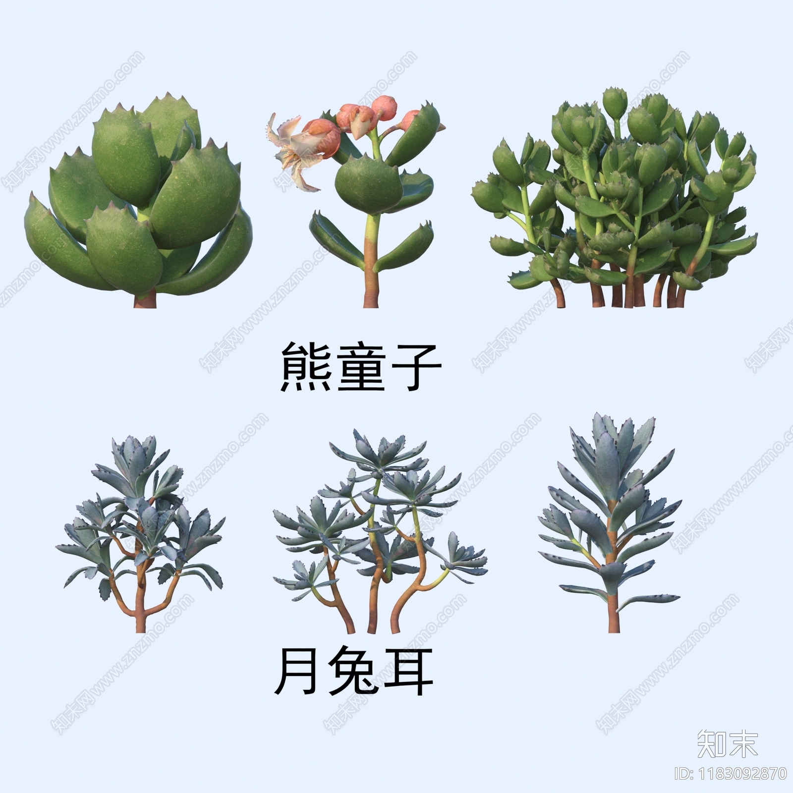 花草组合3D模型下载【ID:1183092870】