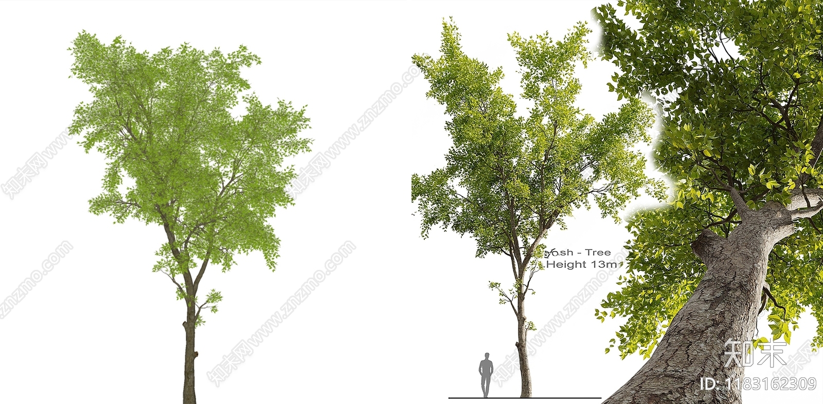 乔木SU模型下载【ID:1183162309】